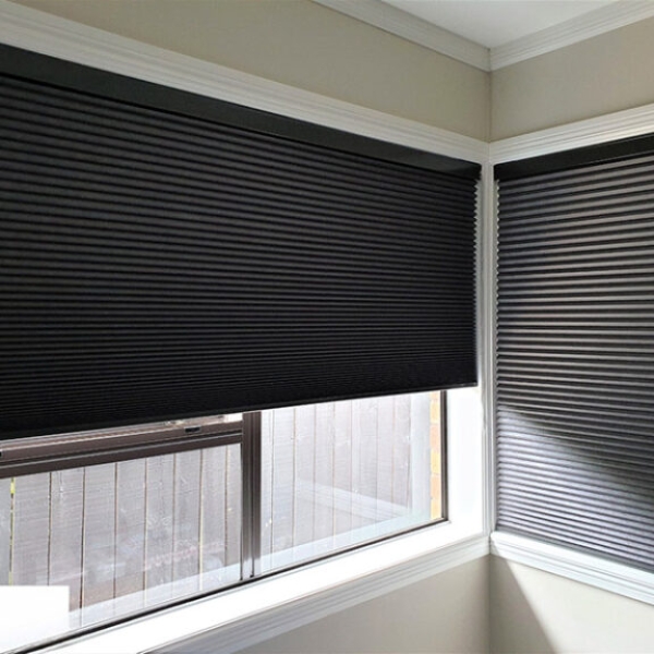 rem-to-ong-tren-kinh